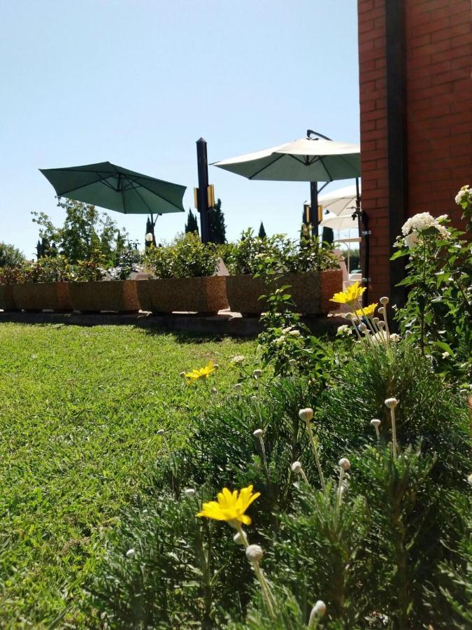 Meditur Hotel Pisa Migliarino Pisano Kültér fotó